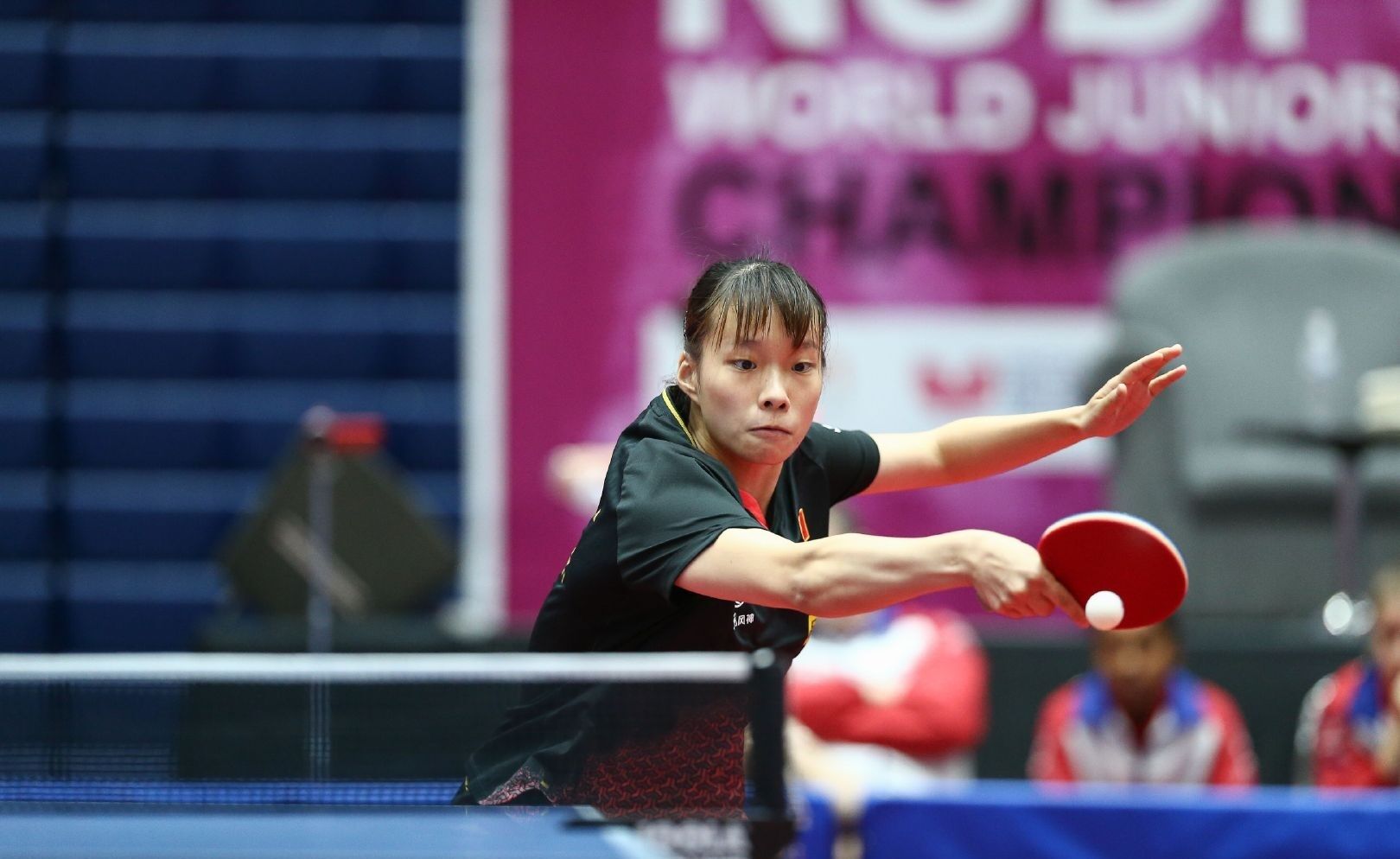 无疑是又一 无疑是又一